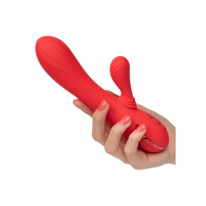 CALEXOTICS - PALISADES PASSION RED - NOCTURNA DESIRES