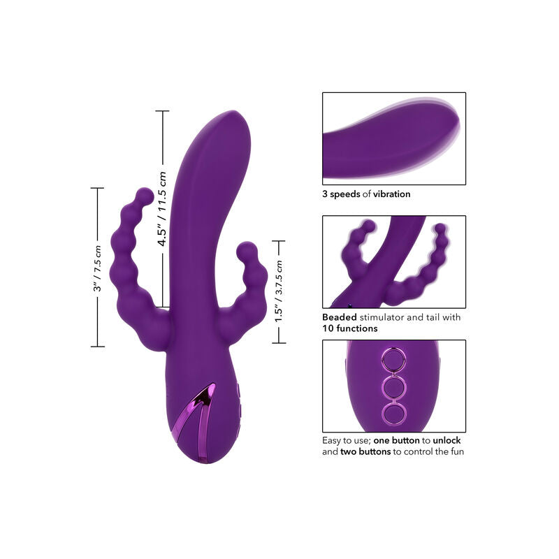 CALEXOTICS - LONG BEACH BOOTYLICIOUS PURPLE - NOCTURNA DESIRES