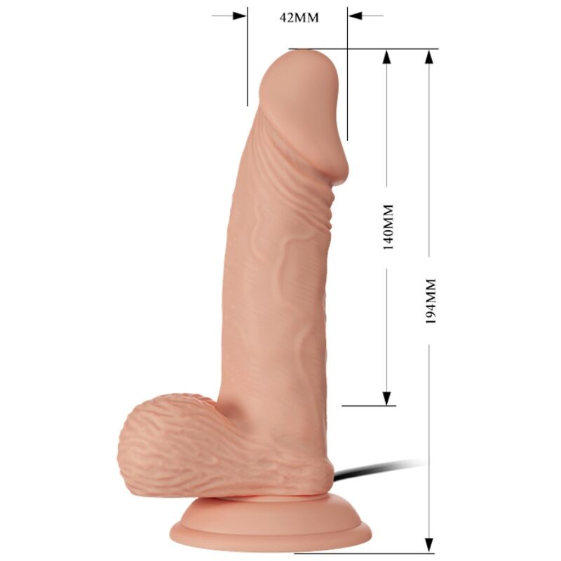 BAILE - BEAUTIFUL ENCOUNTER ZEBULON VIBRATION 19.4 CM NATURAL - NOCTURNA DESIRES