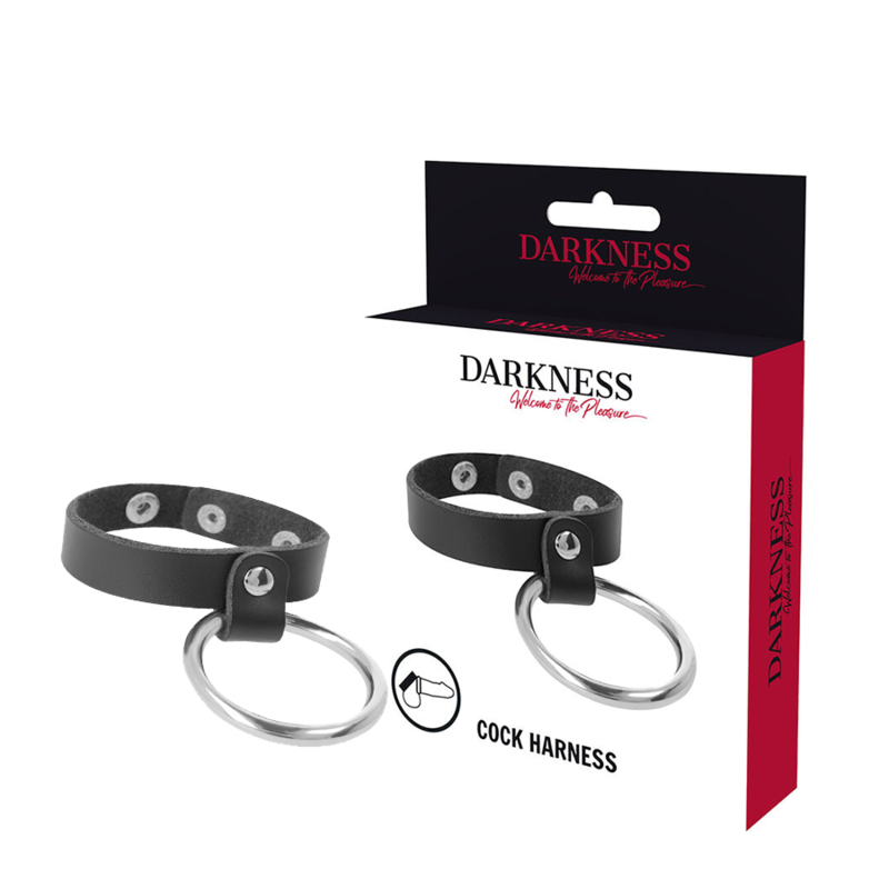 DARKNESS - METAL RING FOR THE PENIS AND TESTICLES - NOCTURNA DESIRES