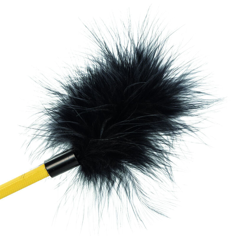 CALEXOTICS - BOUNDLESS FEATHER CROP - NOCTURNA DESIRES