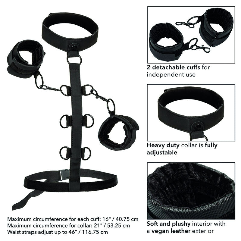 CALEXOTICS - BOUNDLESS COLLAR BODY RESTRAINT - NOCTURNA DESIRES