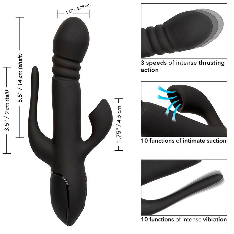 CALEXOTICS - VIBRATOR TRIPLE EUPHORIA BLACK - NOCTURNA DESIRES