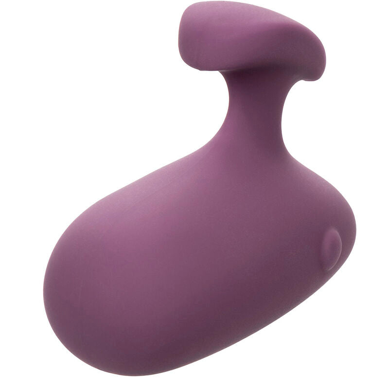 CALEXOTICS - MOD TOUCH STIMULATOR PURPLE - NOCTURNA DESIRES
