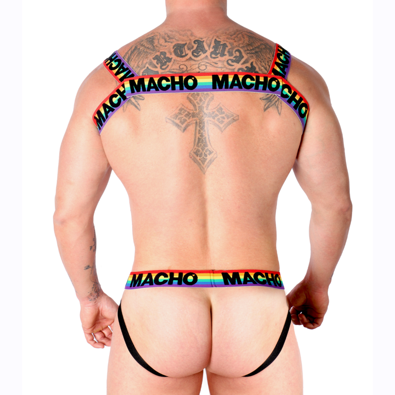 MACHO - DOUBLE HARNESS PRIDE LIMITED - NOCTURNA DESIRES