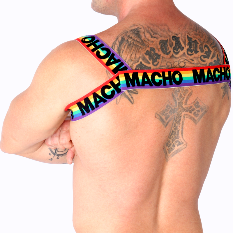 MACHO - DOUBLE HARNESS PRIDE LIMITED - NOCTURNA DESIRES
