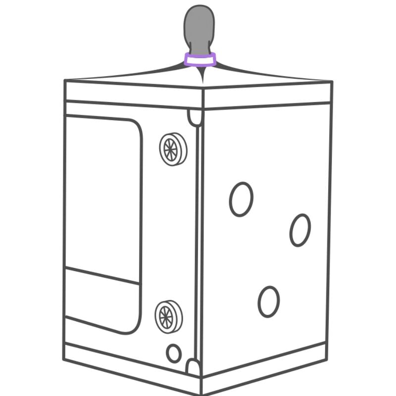 SECRET DOME - KINK CLUB CABIN SCANDALE PURPLE - NOCTURNA DESIRES