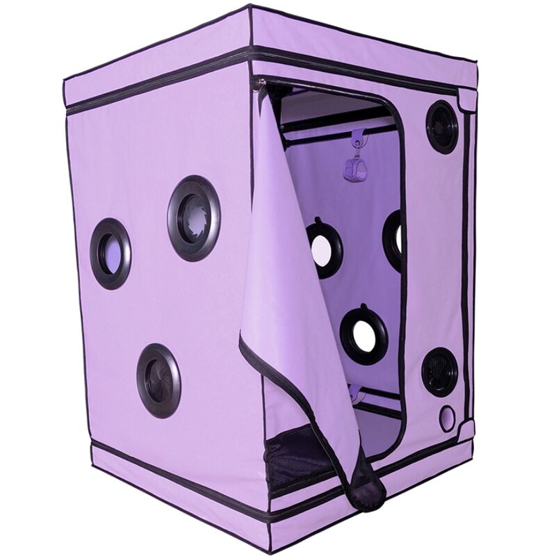 SECRET DOME - KINK CLUB CABIN SCANDALE PURPLE - NOCTURNA DESIRES