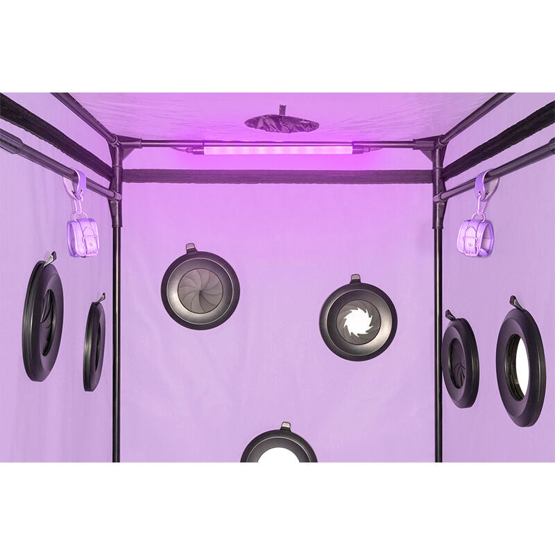 SECRET DOME - KINK CLUB CABIN SCANDALE PURPLE - NOCTURNA DESIRES