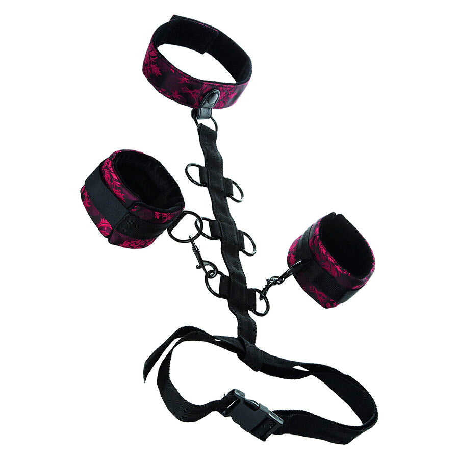 CALEXOTICS - SCANDAL COMPORAL SUPPORT WITH NECK - NOCTURNA DESIRES