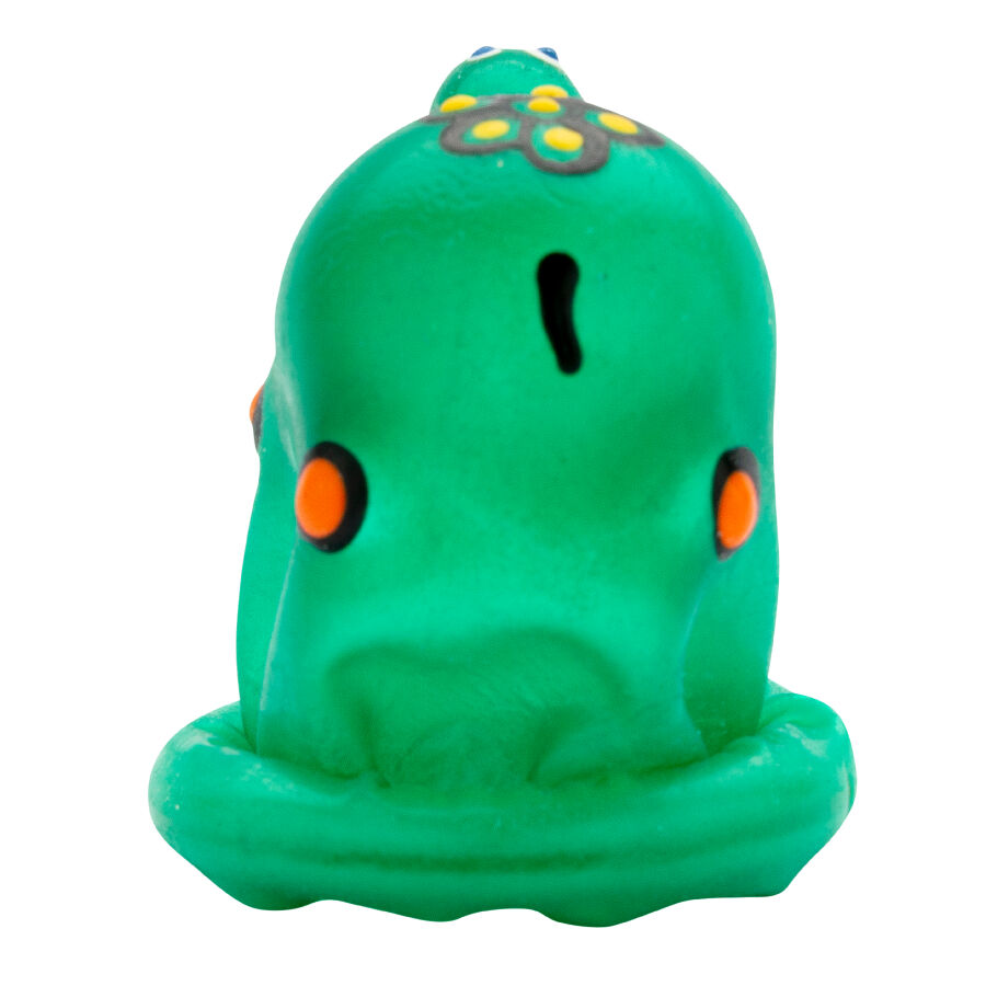 CONDOMERIE - HANDPAINTED NOVELTY CONDOMS TURTLE - NOCTURNA DESIRES