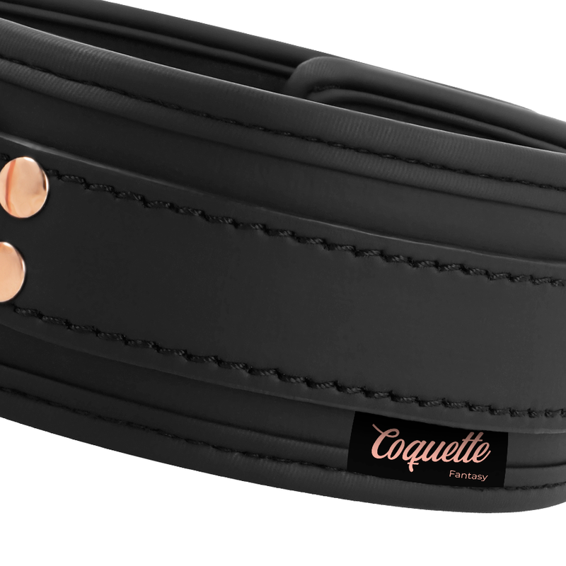 COQUETTE CHIC DESIRE - FANTASY VEGAN LEATHER COLLAR WITH NEOPRENE LINING - NOCTURNA DESIRES