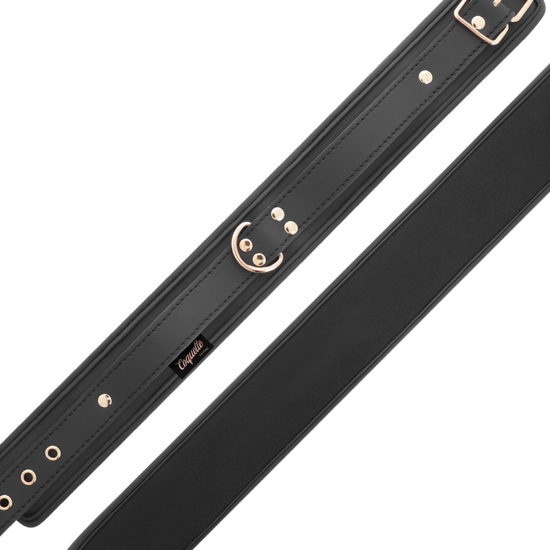 COQUETTE CHIC DESIRE - FANTASY VEGAN LEATHER COLLAR WITH NEOPRENE LINING - NOCTURNA DESIRES