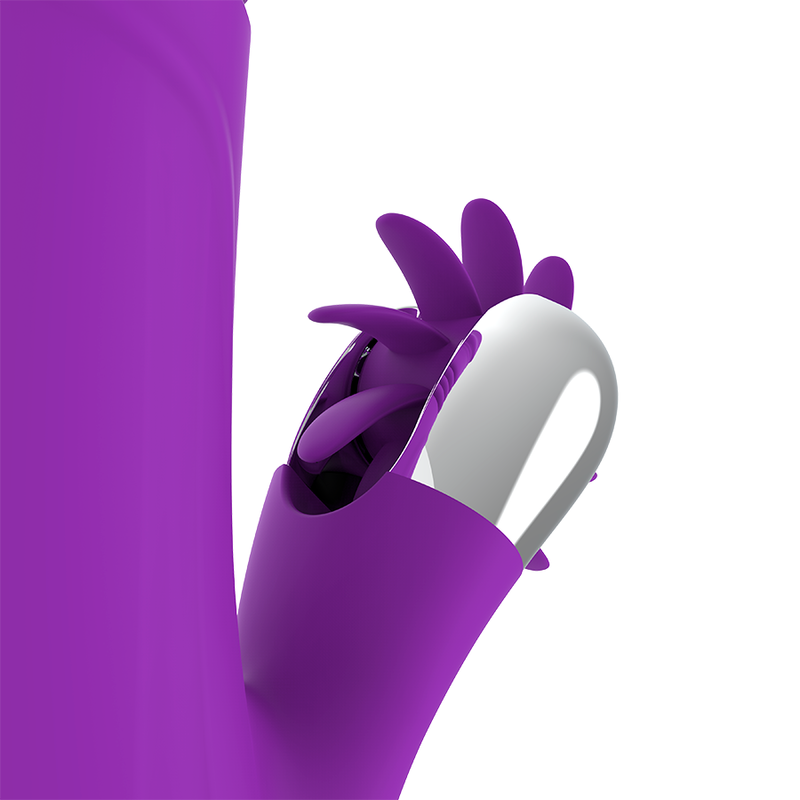FUN FUNCTION - BUNNY FUNNY UP & DOWN 2.0 - NOCTURNA DESIRES