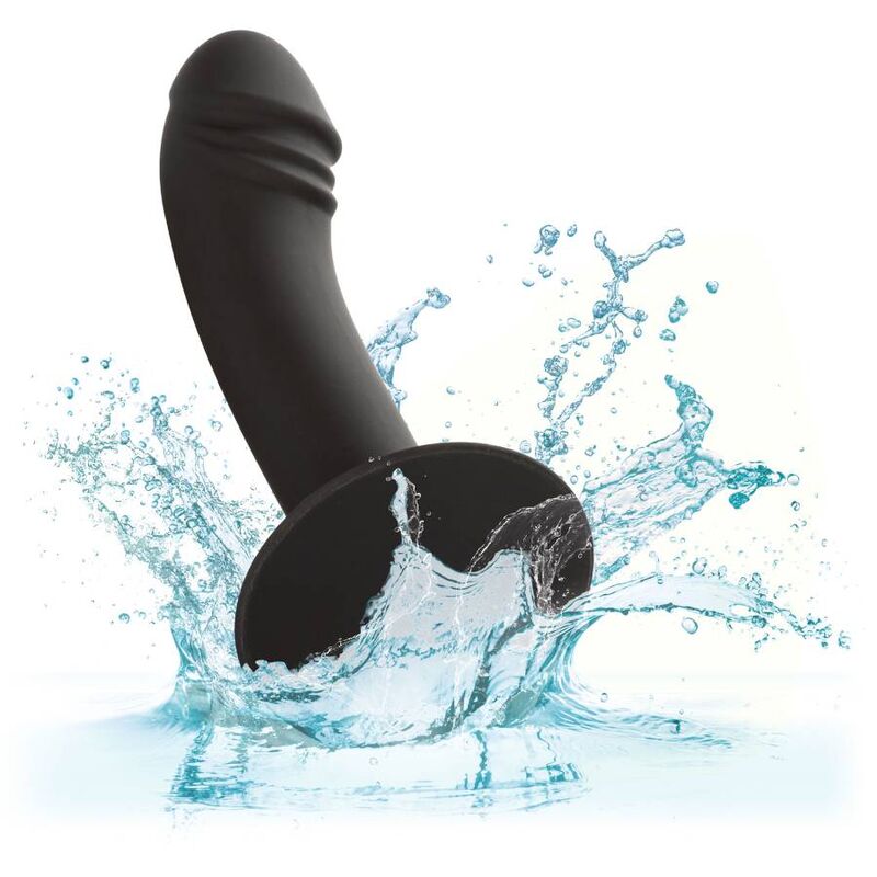 CALEXOTICS - CURVED ANAL STUD - NOCTURNA DESIRES