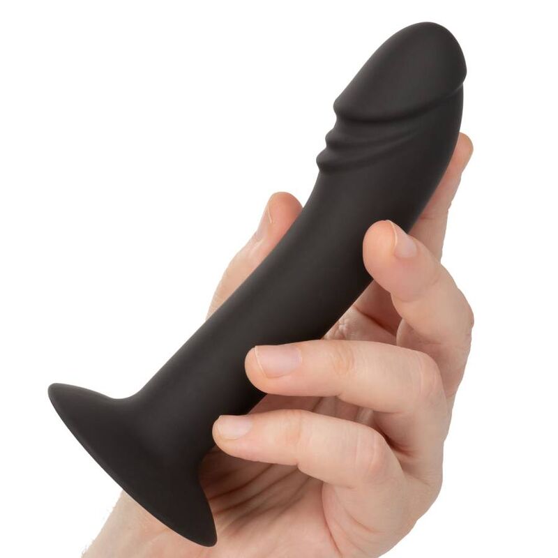 CALEXOTICS - CURVED ANAL STUD - NOCTURNA DESIRES