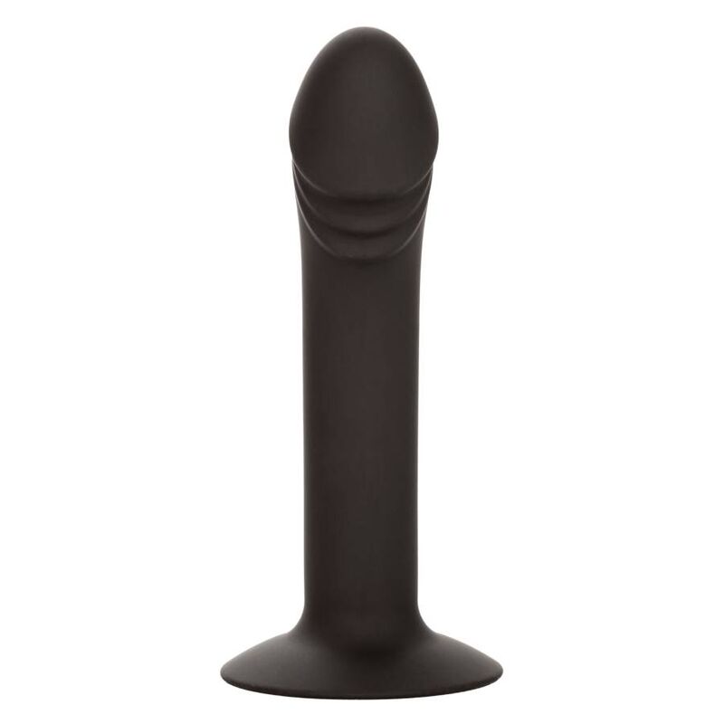 CALEXOTICS - CURVED ANAL STUD - NOCTURNA DESIRES