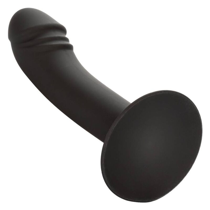 CALEXOTICS - CURVED ANAL STUD - NOCTURNA DESIRES