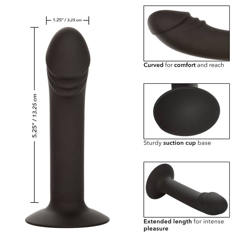 CALEXOTICS - CURVED ANAL STUD - NOCTURNA DESIRES