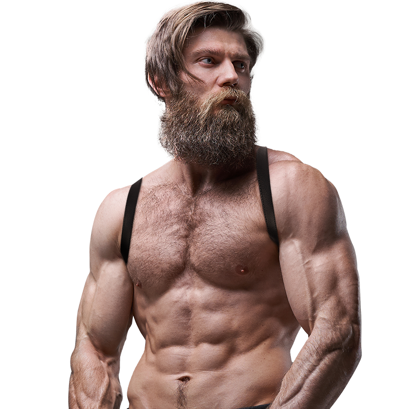 FETISH SUBMISSIVE ATTITUDE - MENS ECO-LEATHER BACK HARNESS - NOCTURNA DESIRES