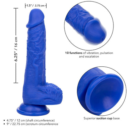 CALEXOTICS - ADMIRAL SAILOR REALISTIC DILDO VIBRATOR BLUE - NOCTURNA DESIRES