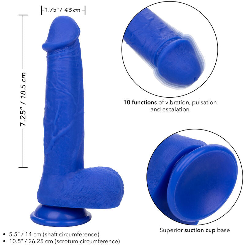 CALEXOTICS - ADMIRAL CAPTAIN REALISTIC DILDO VIBRATOR BLUE - NOCTURNA DESIRES