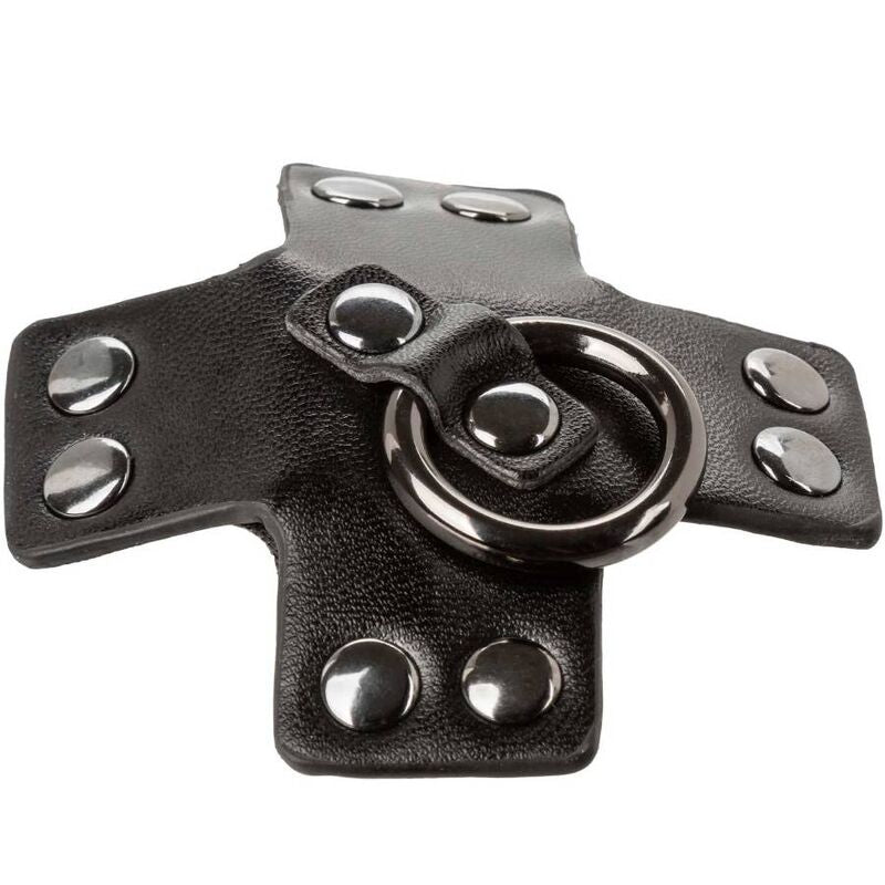 CALEXOTICS - EUPHORIA O-RING BLACK - NOCTURNA DESIRES