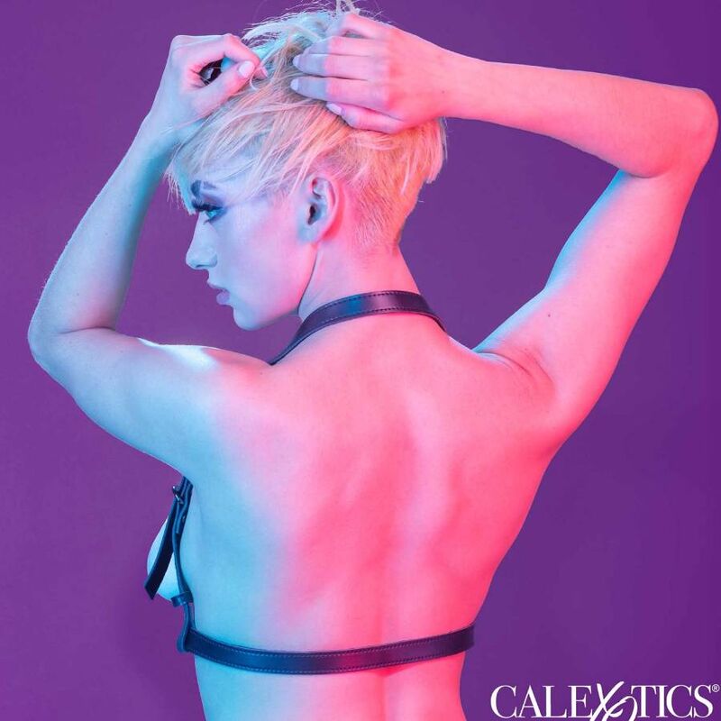 CALEXOTICS - EUPHORIA HALTER BUCKLE HARNESS BLACK - NOCTURNA DESIRES