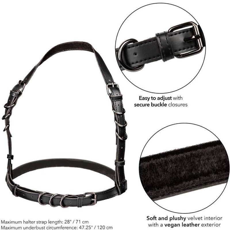 CALEXOTICS - EUPHORIA PLUS SIZE HALTER BUCKLE HARNESS BLACK - NOCTURNA DESIRES