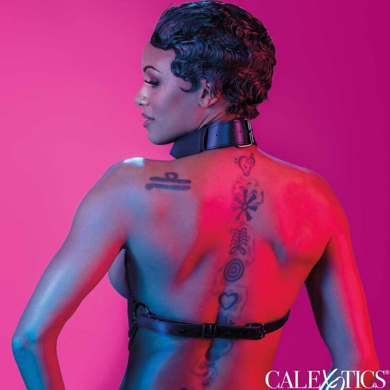 CALEXOTICS - EUPHORIA MULTI CHAIN COLLAR HARNESS - NOCTURNA DESIRES