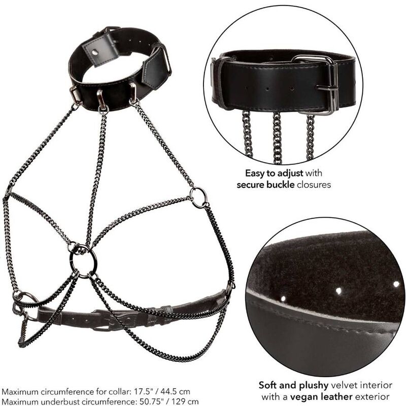 CALEXOTICS - EUPHORIA PLUS SIZE MULTI CHAIN COLLAR HARNESS - NOCTURNA DESIRES