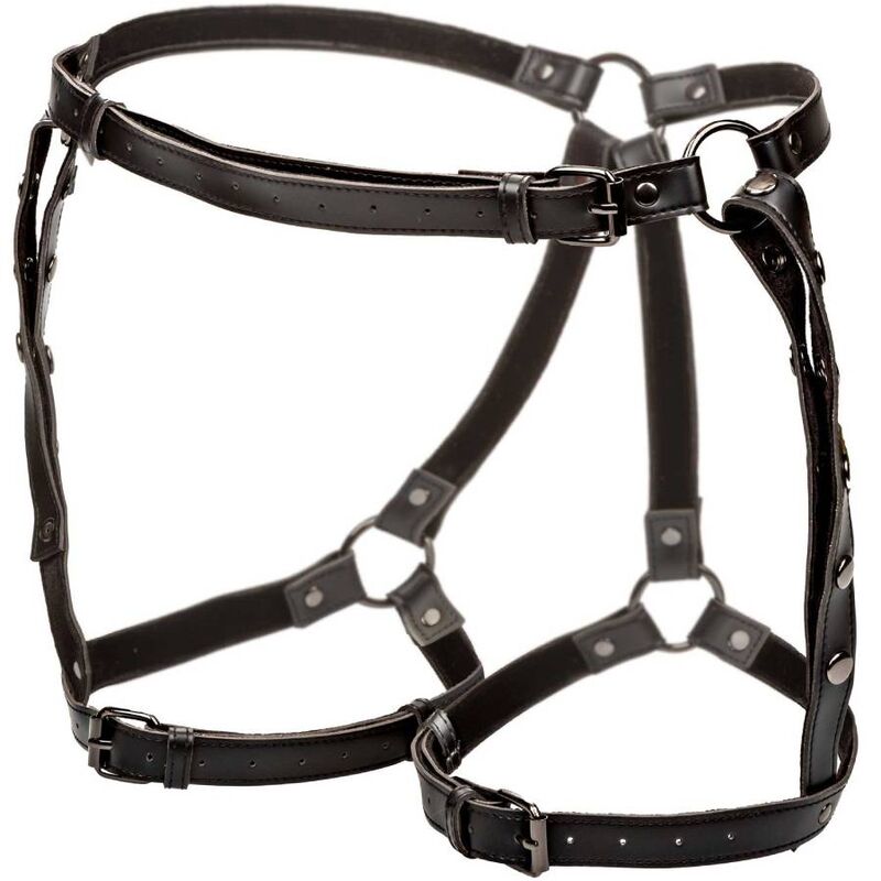 CALEXOTICS - EUPHORIA PLUS SIZE RIDING THIGH HARNESS - NOCTURNA DESIRES