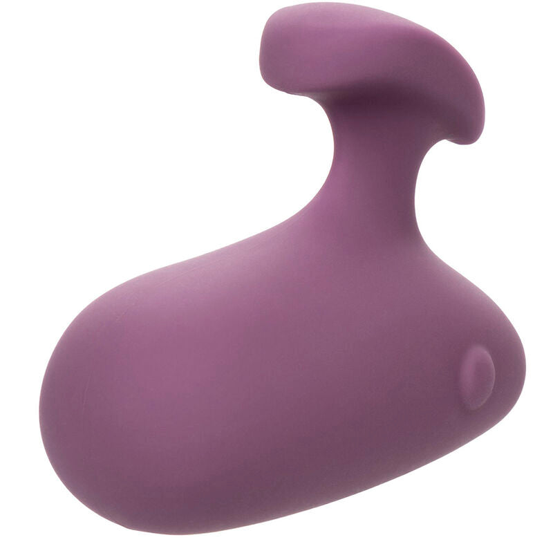 CALEXOTICS - MOD TOUCH STIMULATOR PURPLE - NOCTURNA DESIRES