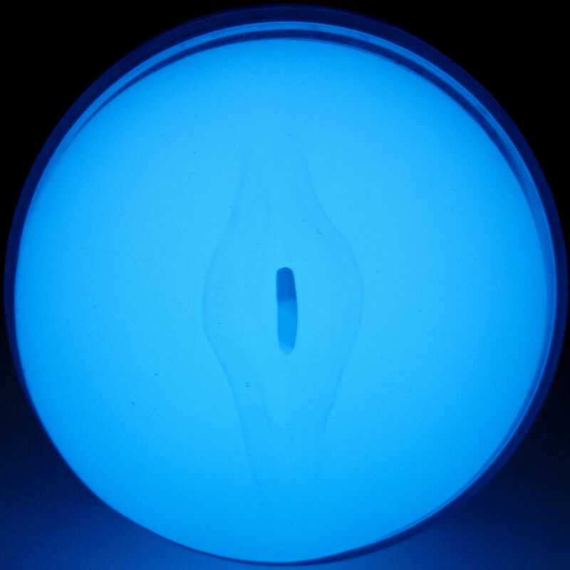 KIIROO - FEEL GLOW IN THE DARK STROKER - NOCTURNA DESIRES