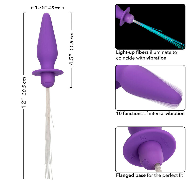CALEXOTICS - SOUTHERN LIGHTS LIGHT UP ANAL PLUG 10 VIBRATIONS SILICONE PURPLE - NOCTURNA DESIRES