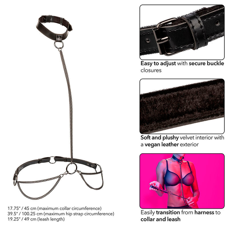 CALEXOTICS - EUPHORIA CHAIN HALTER COLLAR & LEASH - NOCTURNA DESIRES