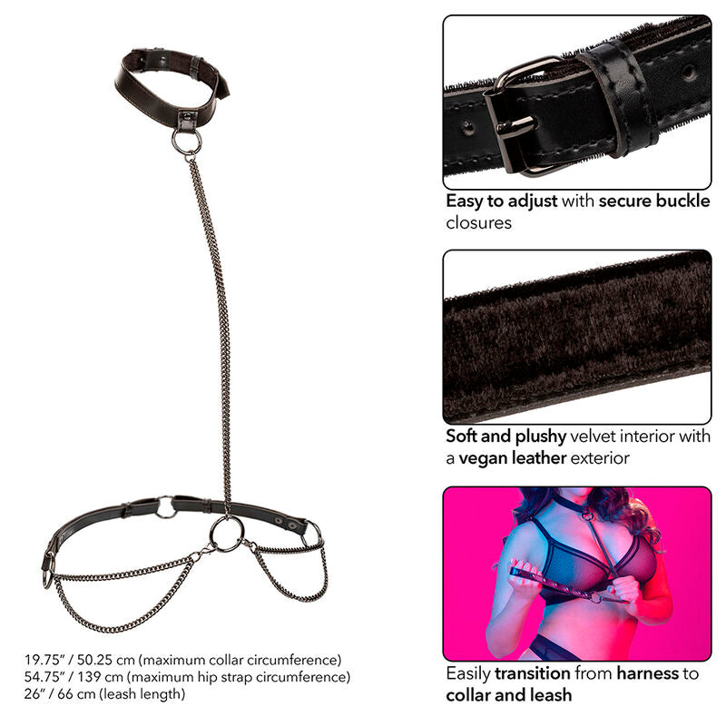 CALEXOTICS - EUPHORIA CHAIN HALTER COLLAR & LEASH PLUS SIZE - NOCTURNA DESIRES