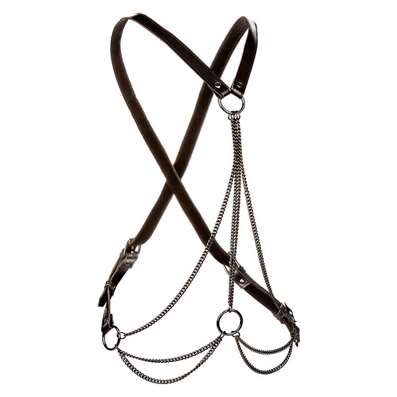 CALEXOTICS - EUPHORIA MULTICHAIN HARNESS PREMIUM - NOCTURNA DESIRES