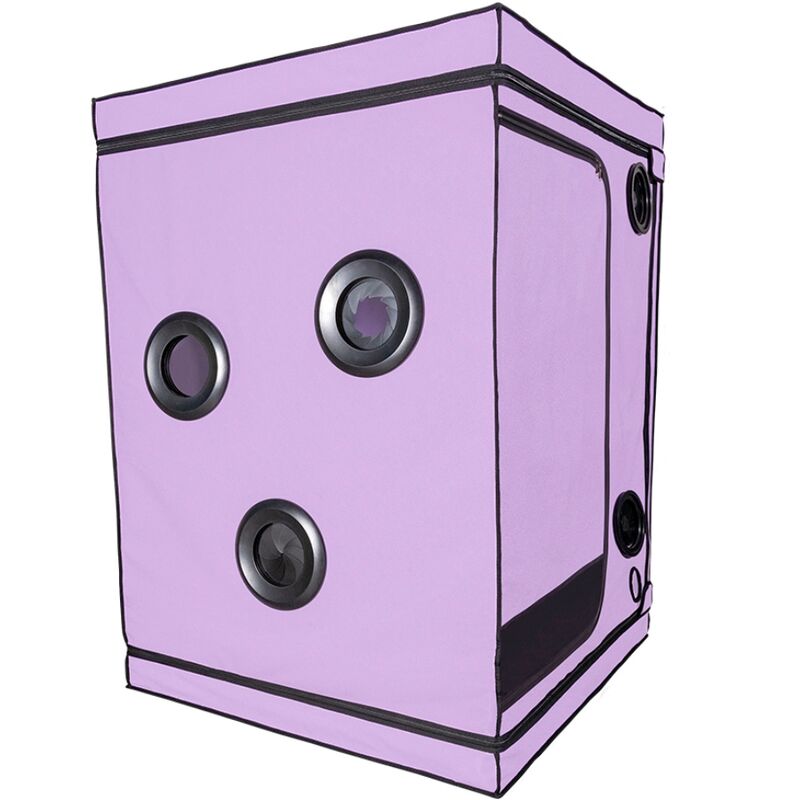 SECRET DOME - KINK CLUB CABIN SCANDALE PURPLE - NOCTURNA DESIRES