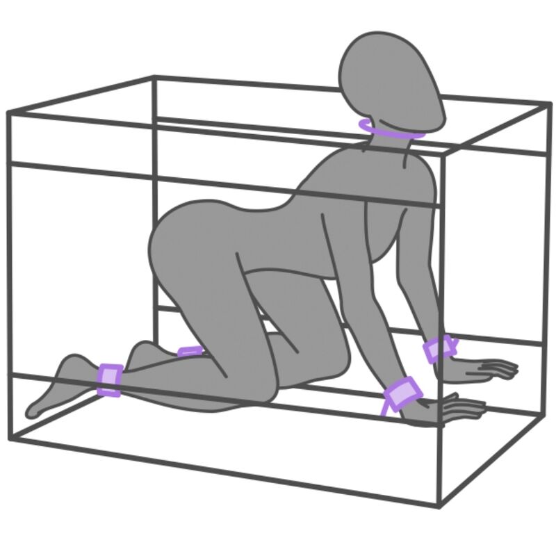 SECRET DOME - KINK CLUB LA NICHE CABIN PURPLE - NOCTURNA DESIRES