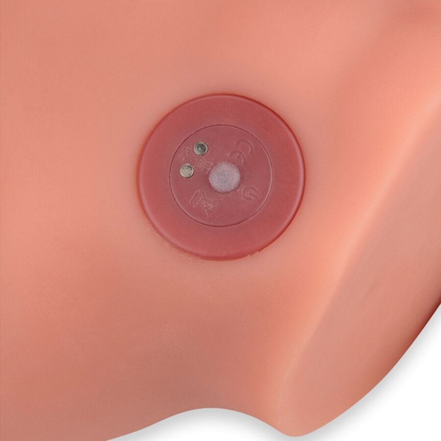 XISE - FREDERICO MASTURBADOR REALISTIC DILDO FRONT POSITION WITH THRUSTING 15 CM - NOCTURNA DESIRES