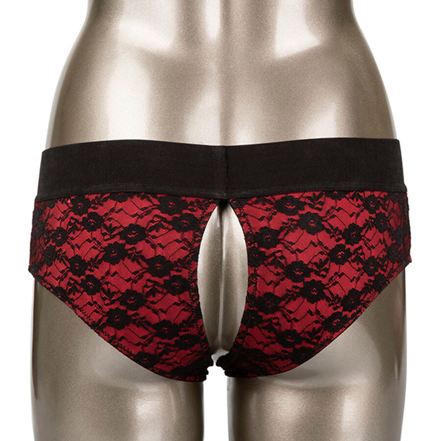 CALEXOTICS - SCANDAL SET OF CROTCHLESS PANTIES WITH DILDO SIZE S/M - NOCTURNA DESIRES