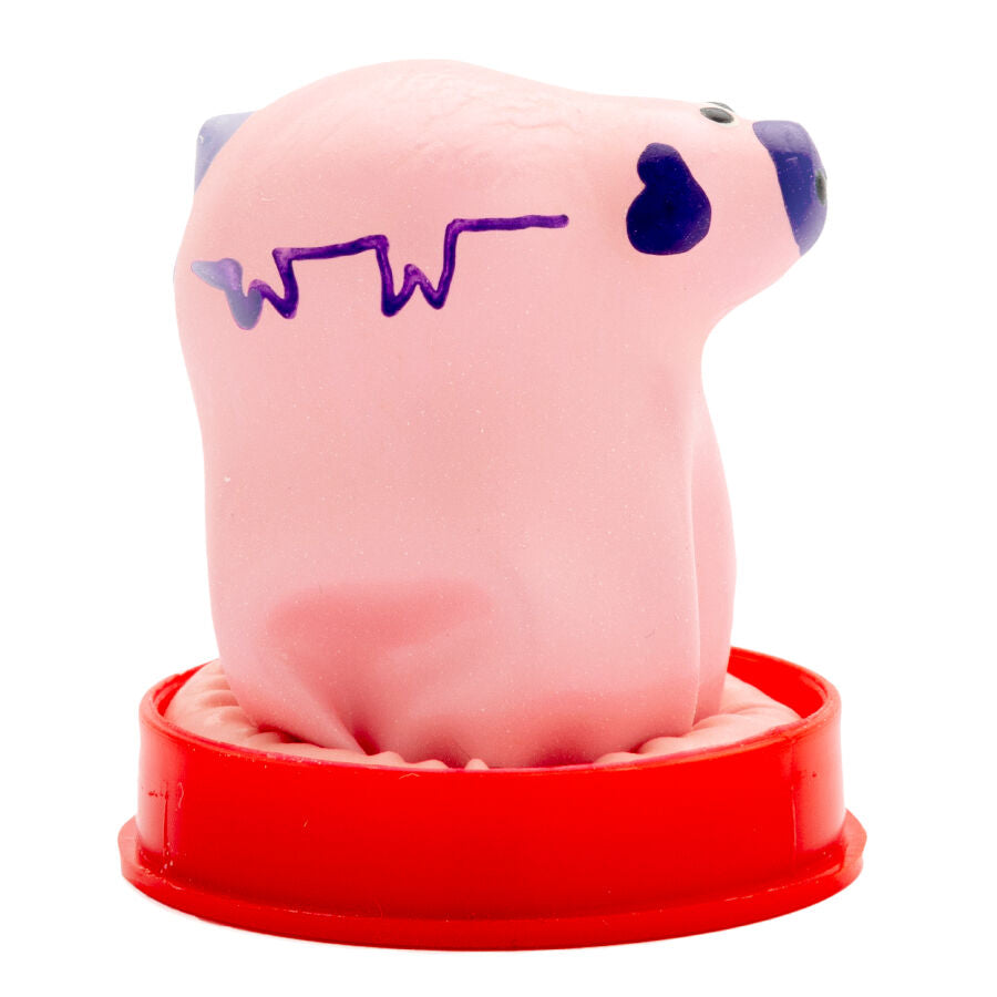 CONDOMERIE - HANDPAINTED NOVELTY CONDOMS SMALL PIG - NOCTURNA DESIRES