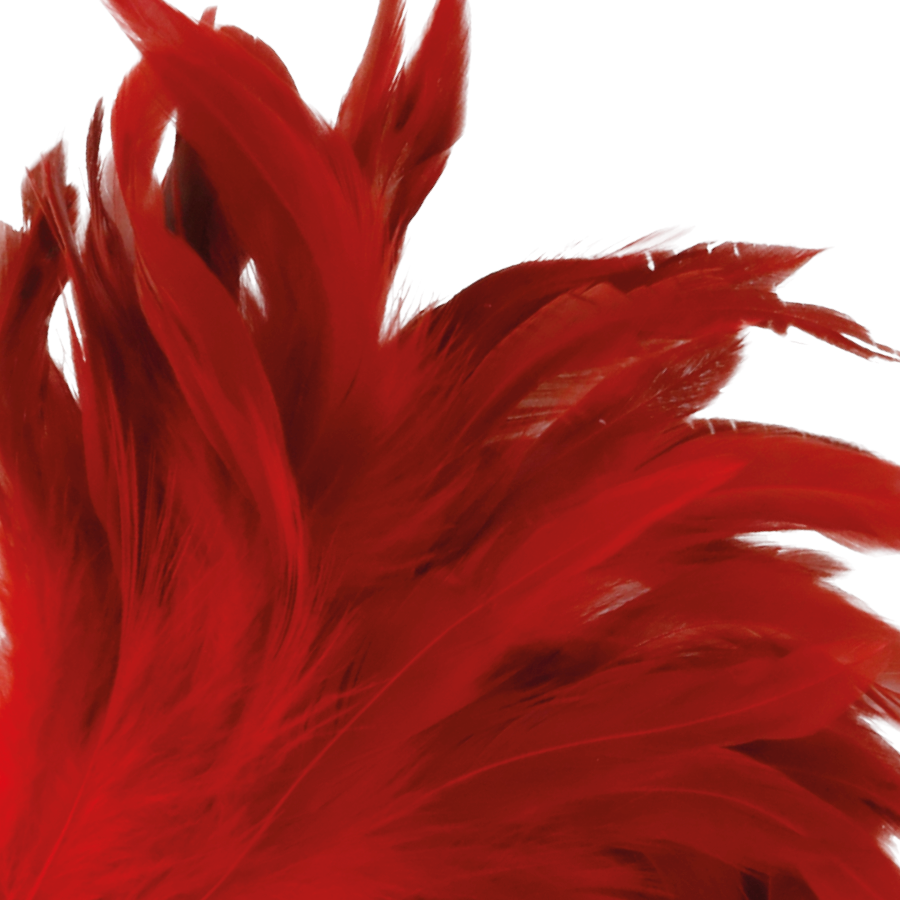 DARKNESS - RED STIMULATING PEN 24CM - NOCTURNA DESIRES
