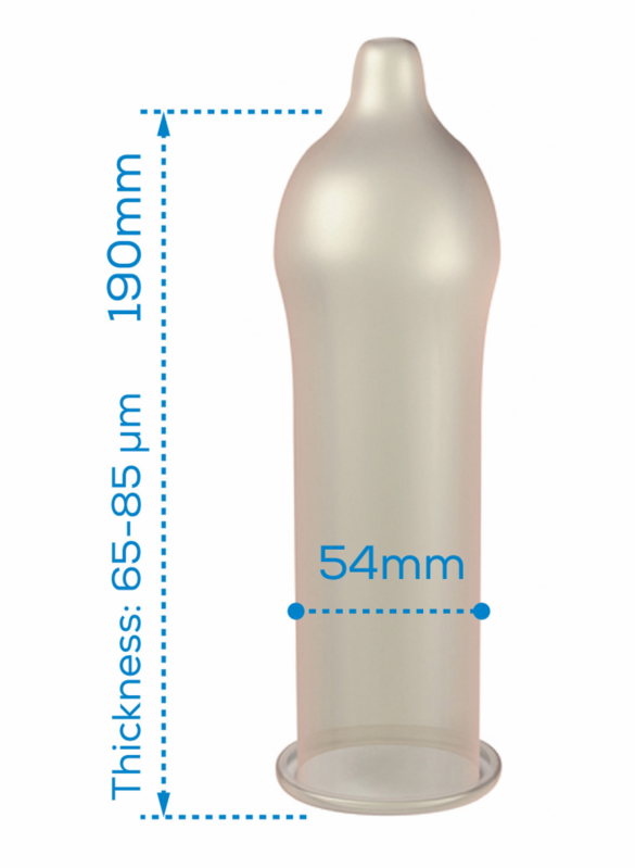 PASANTE - CONDOM REGULAR RANGE 144 UNITS - NOCTURNA DESIRES
